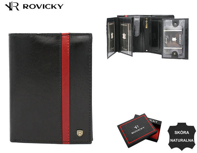 Vyriška odinė piniginė Rovicky RV149
