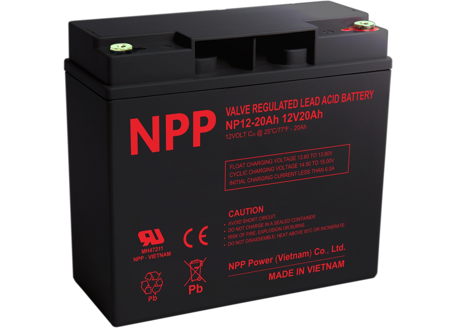 Akumuliatorius 12V 20Ah T12(M5) Pb AGM NPP