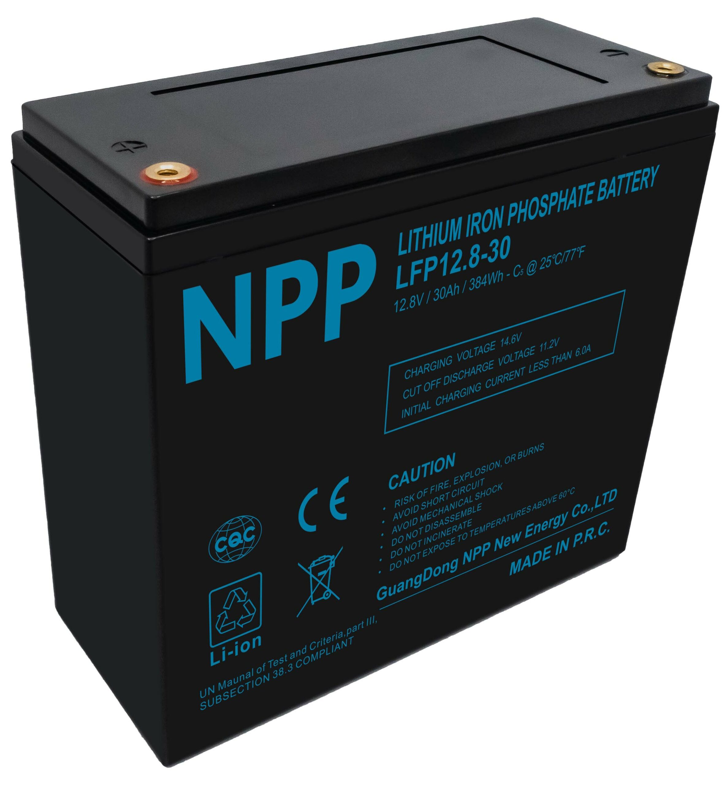 Akumuliatorius LiFePO4 12.8V 30Ah su T12 (M2) BT NPP