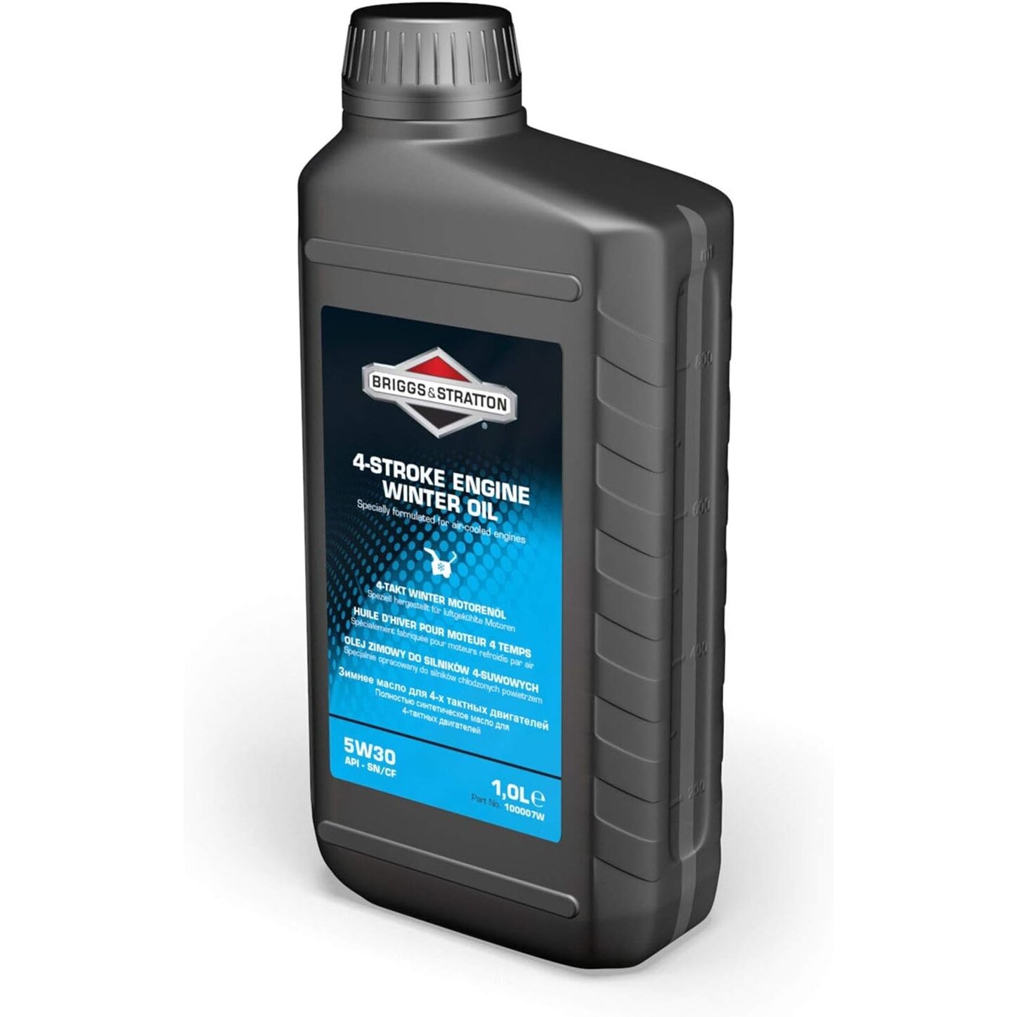 Žieminė alyva 4T Briggs & Stratton
