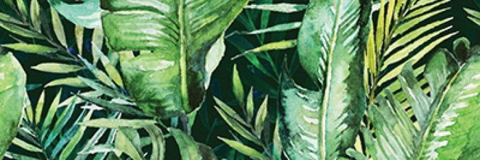 Keraminės sienų plytelės BRAGA TROPIC B INSERTO, 25 x 75 cm