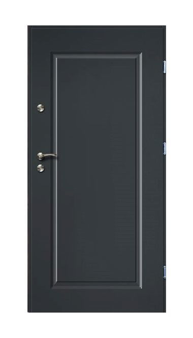 Lauko durys RADEX SQUARE, antracito sp., 1000 x 2072 mm, dešinė