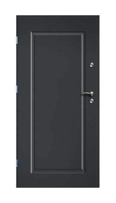 Lauko durys RADEX SQUARE, antracito sp., 895 x 2063 mm, kairė