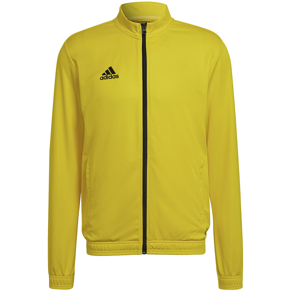 Vyriškas Džemperis Adidas Entrada 22 Track Jacket Geltonas HI2134