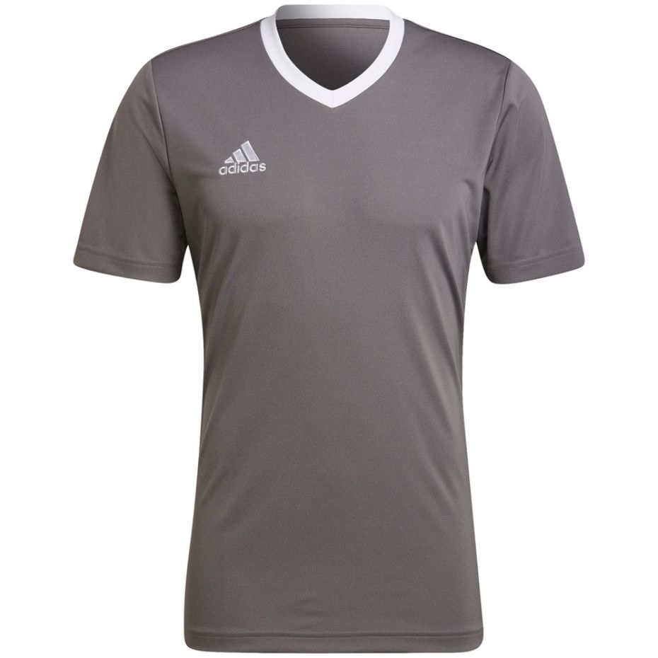 Vyriški Marškinėliai Adidas Entrada 22 Jersey Pilka HE1574