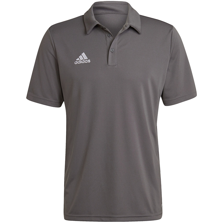 Vyriški Polo Marškinėliai Adidas Entrada 22 Pilkas H57486