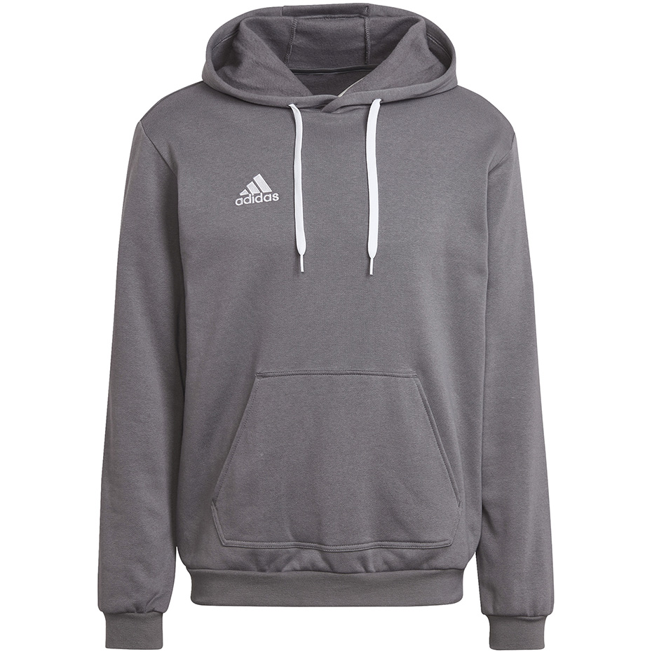 Vyriškas Džemperis Adidas Entrada 22 Hoody Pilkas HB0578