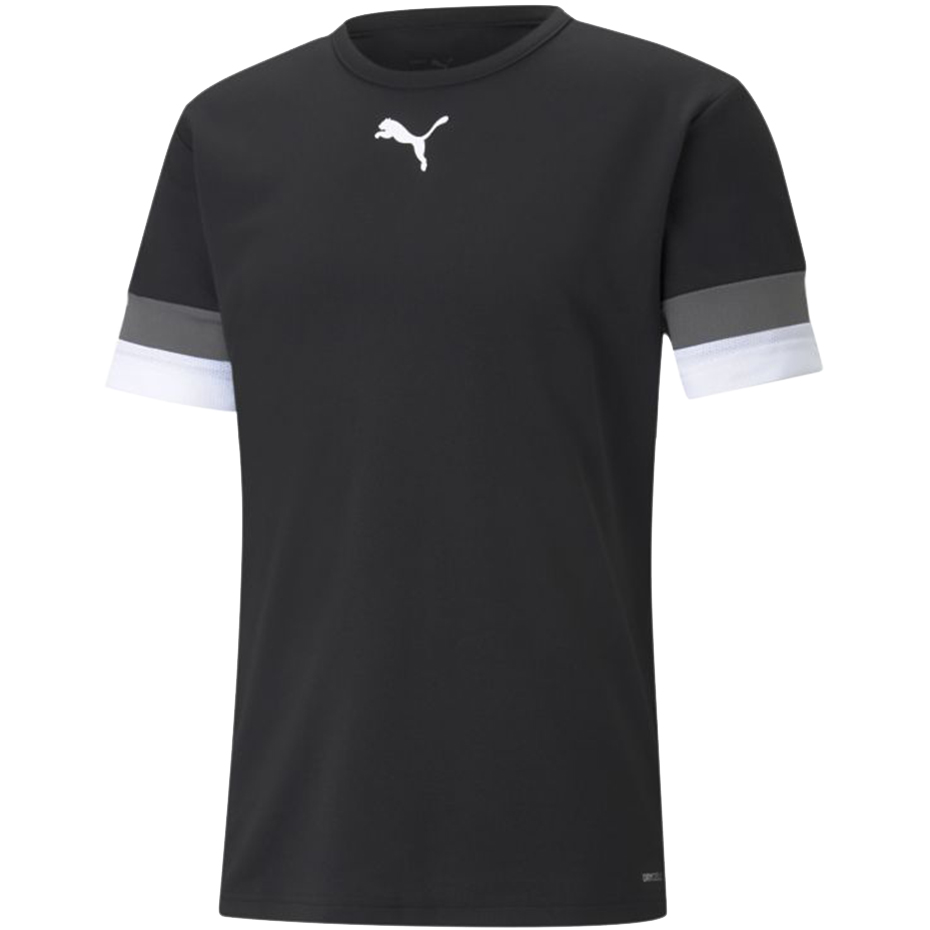 Vyriški Marškinėliai Puma TeamRISE Jersey