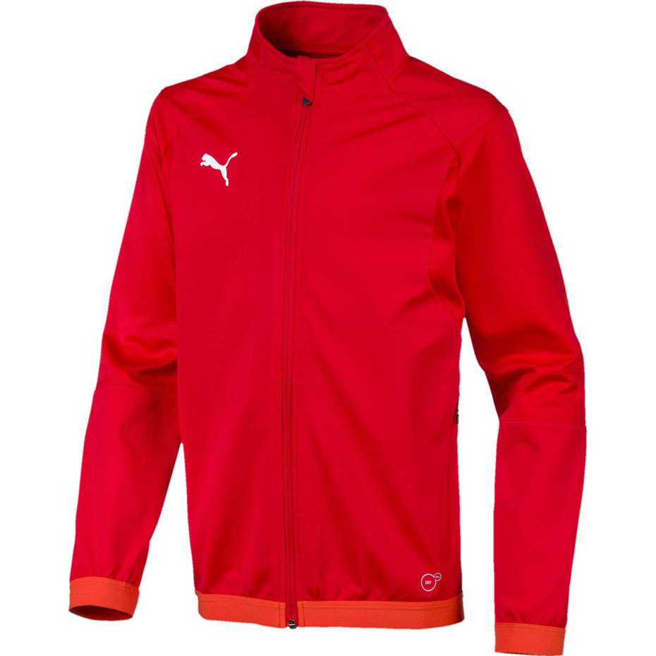 Vaikiškas džemperis Puma Liga Training Jacket 655688 01