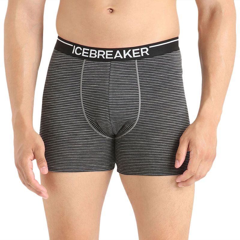 Icebreaker Anatomica Boxers - Dydis M (1030290381 Apatiniai)