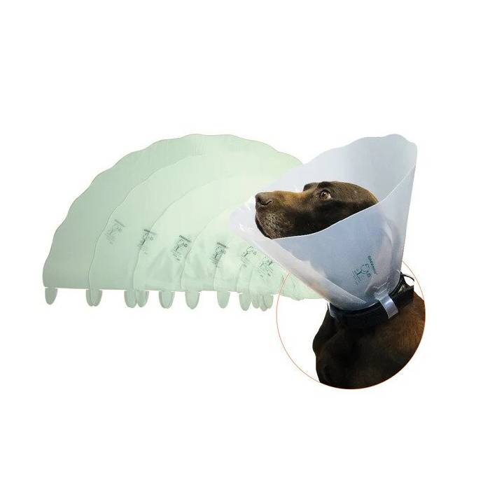Genia Greencol apsauginė apykaklė, gaubtas gijimui, 12,5 cm