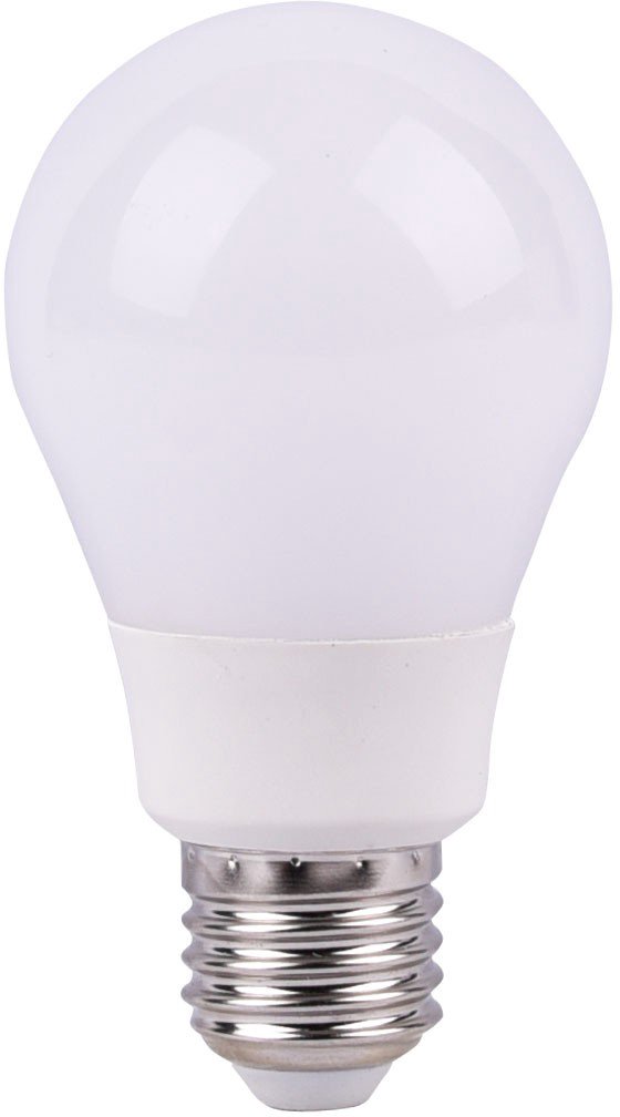 Omega LED lamp E27 12W 4200K (43029)