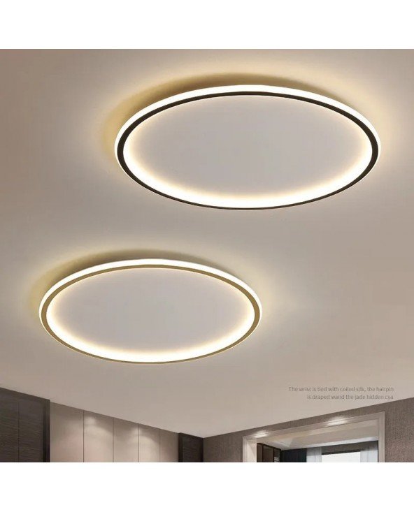 Šiuolaikinė LED lubų šviesa 20/30/40CM Dimmable nuotolinio valdymo pultas namų gyvenamasis kambarys miegamasis