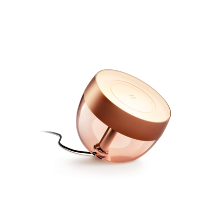 Philips Hue|Hue Iris Portable Lamp, Copper Special Edition|Copper/brass|Portable lamp|8719514411586