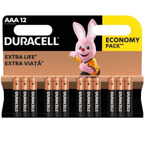 Duracell MN 2400 Basic AAA (LR03) lizdinė plokštelė 12 vnt.