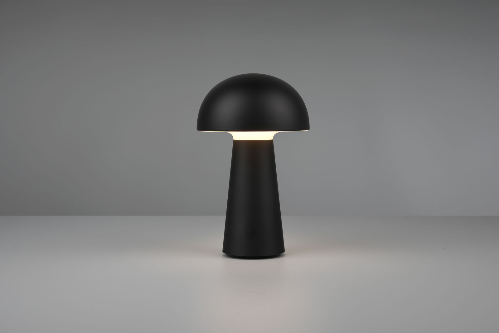 Pakraunamas stalinis LED šviestuvas REALITY LENNON, IP44, 2W, max180lm, 3000K, nešiojamas, ø13xh21cm