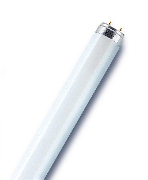 Liuminiscensinė lempa OSRAM, T8, 6500 K, 36 W, 3350 lm, 120 cm