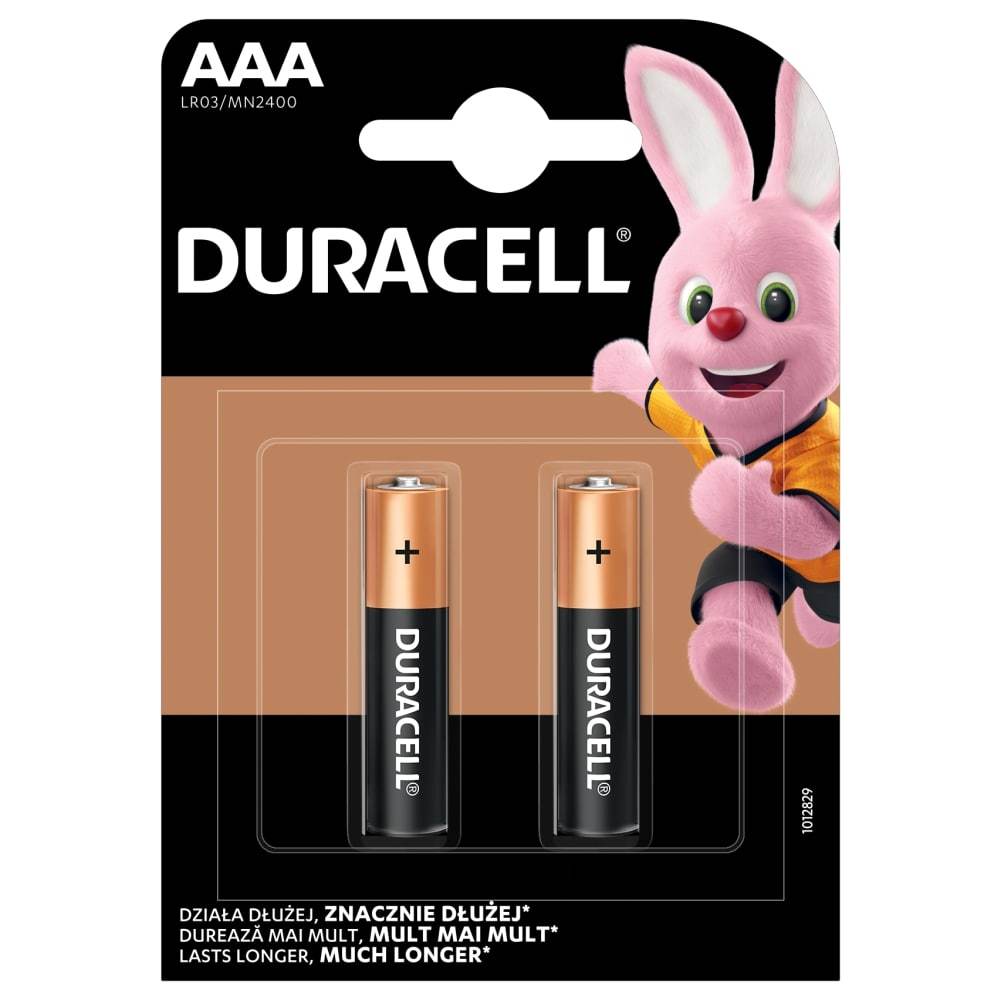 Duracell MN 2400 Basic AAA (LR03) lizdinė pakuotė 2vnt.