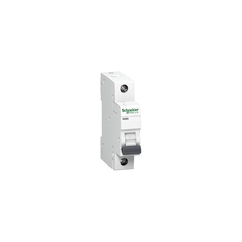 Automatinis jungiklis SCHNEIDER, 1P, 25A, C