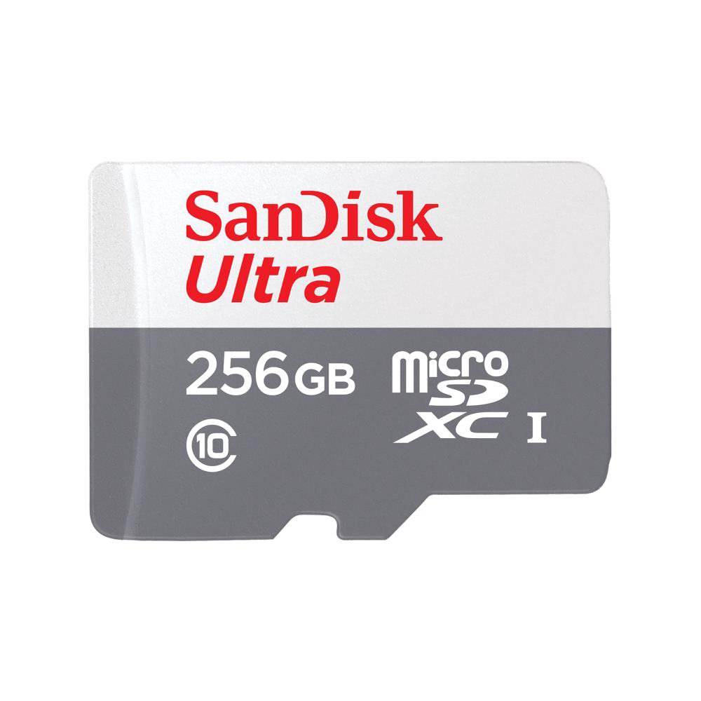 Atm.kort. SANDISK SDSQUNR-256G-GN3MN