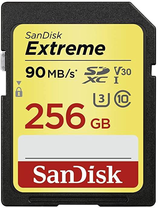 Atm.kort. SANDISK SDSDXVV-256G-GNCIN