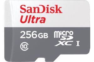 Atm.kort. SANDISK SDSQUNR-256G-GN6TA