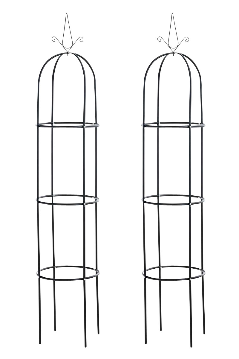 2 "Romantika V2" rožių kolonėlių rinkinys