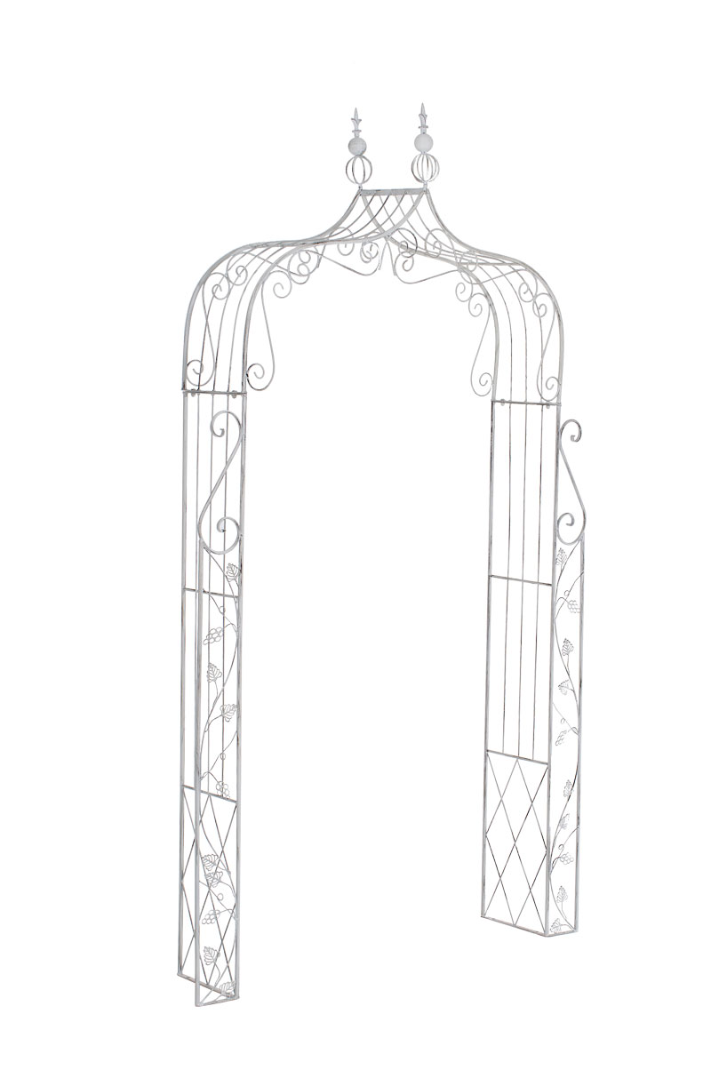 "Rose Arch Aurora" antikvarinė balta