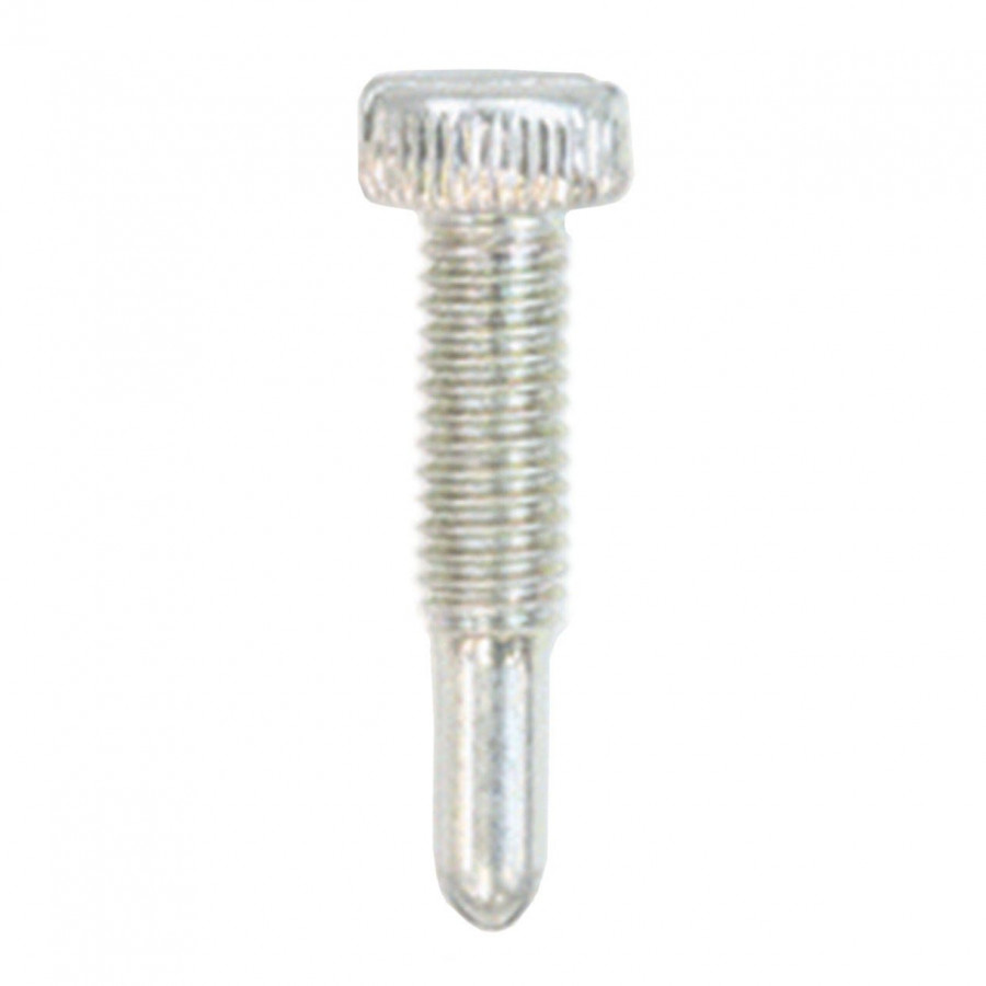 Screw, idle adjust B450; B530; C270; C350, Echo