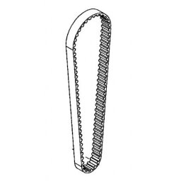 BELT, ECHO