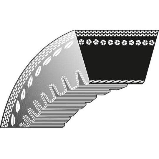 Dantytas diržas Stiga 10x738mm La