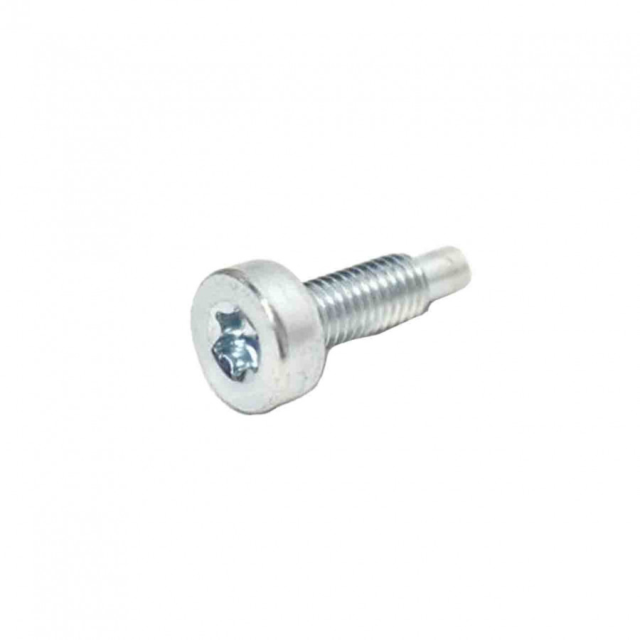 Bolt, Torx CS-3510L/AC; CS-4010; CS-3510ES, Echo