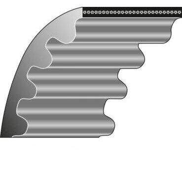 Dantytas diržas Wolf 12x295mm La