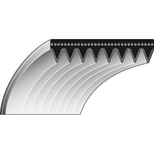 Diržas Snapper 9,50x571mm La