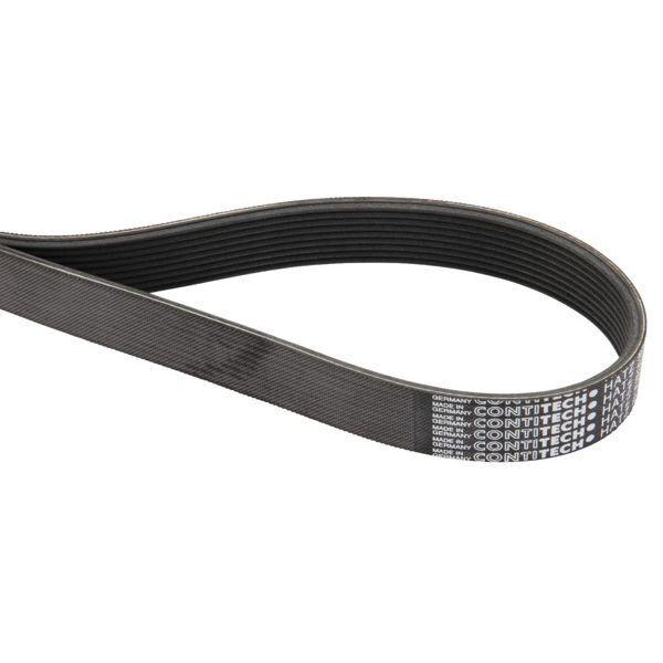 Diržas  Hatz 50203100