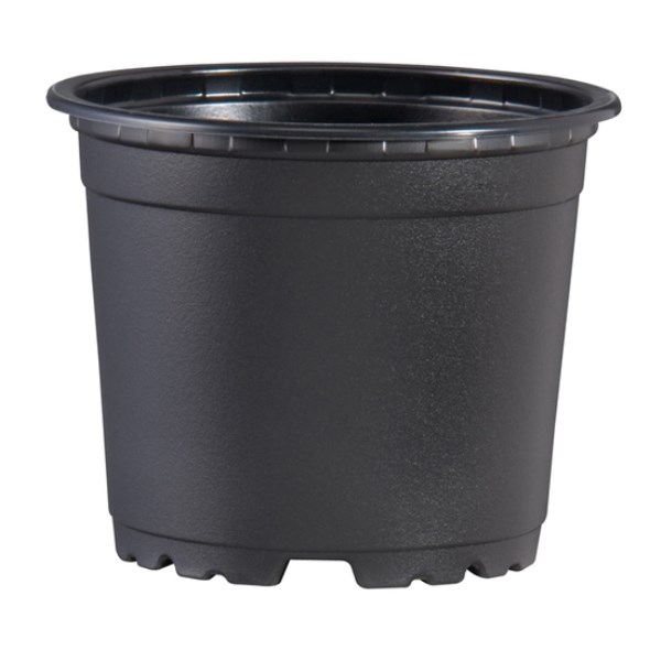 Vazonėlis daigams GPVTDPBN10, D10 cm