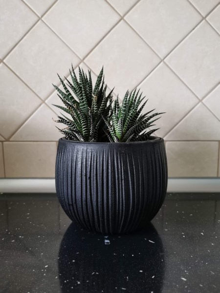 Vazonas plastikinis Beton Bowl DKB240-B411, juodos spalvos