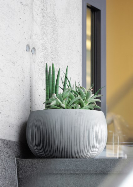 Vazonas plastikinis Beton Bowl DKB290-422U, pilkos spalvos