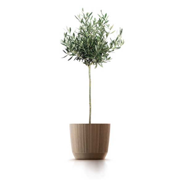 Vazonas DRF170W-4665W Ryfo Eco wood, šviesiai rudos spalvos