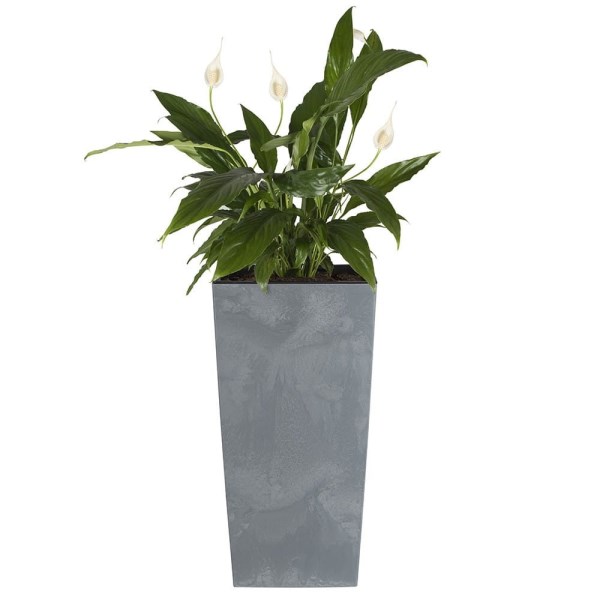 Plastikinis vazonas DURS170E-422U Urbi Square Beton