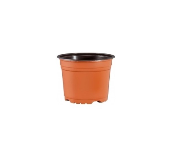 Vazonas plastikinis daigams d26 cm, terakota