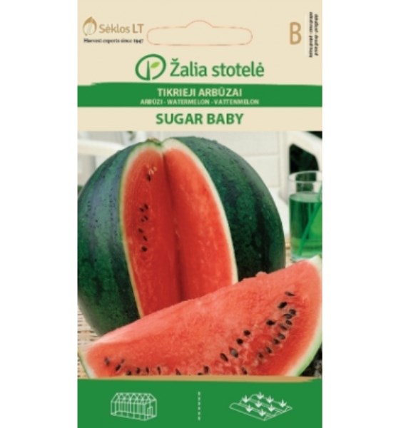 Sėklos arbūzai tikrieji SUGAR BABY