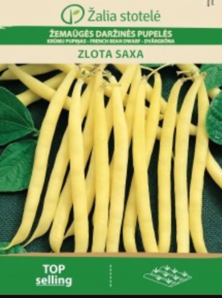 Sėklos pupelių žemaūgių Zlota Saxa