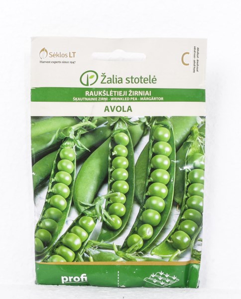 Sėklos žirniai raukšlėtieji Avola