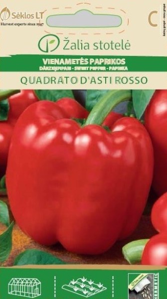 Paprikų sėklos QUADRATO D"ASTI ROSSO, Žalia stotelė