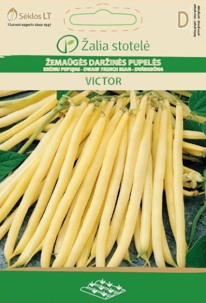 Žemaūgių daržinių pupelių sėklos VICTOR, 15 g