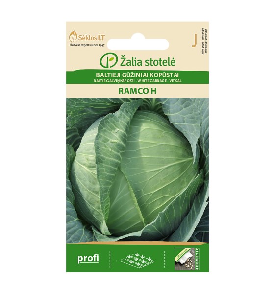 Baltųjų gūžinių kopūstų sėklos RAMCO H Žalia stotelė
