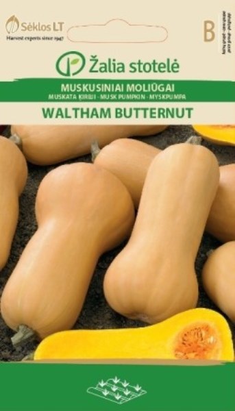Muskusinių moliūgų sėklos WALTHAM BUTTERNUT