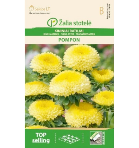 Sėklos kininiai ratiliai POMPON geltoni Žalia stotelė