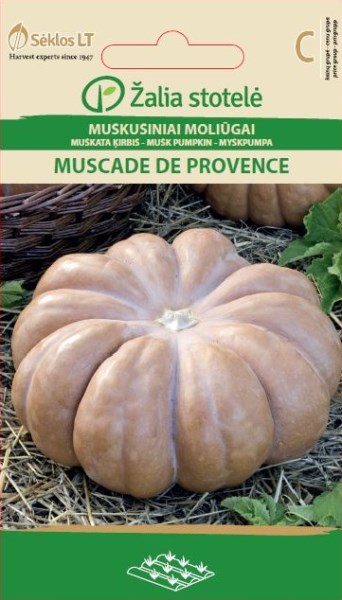 Sėklos muskusinių moliūgų MUSCADE DE PROVENCE Žalia stotelė